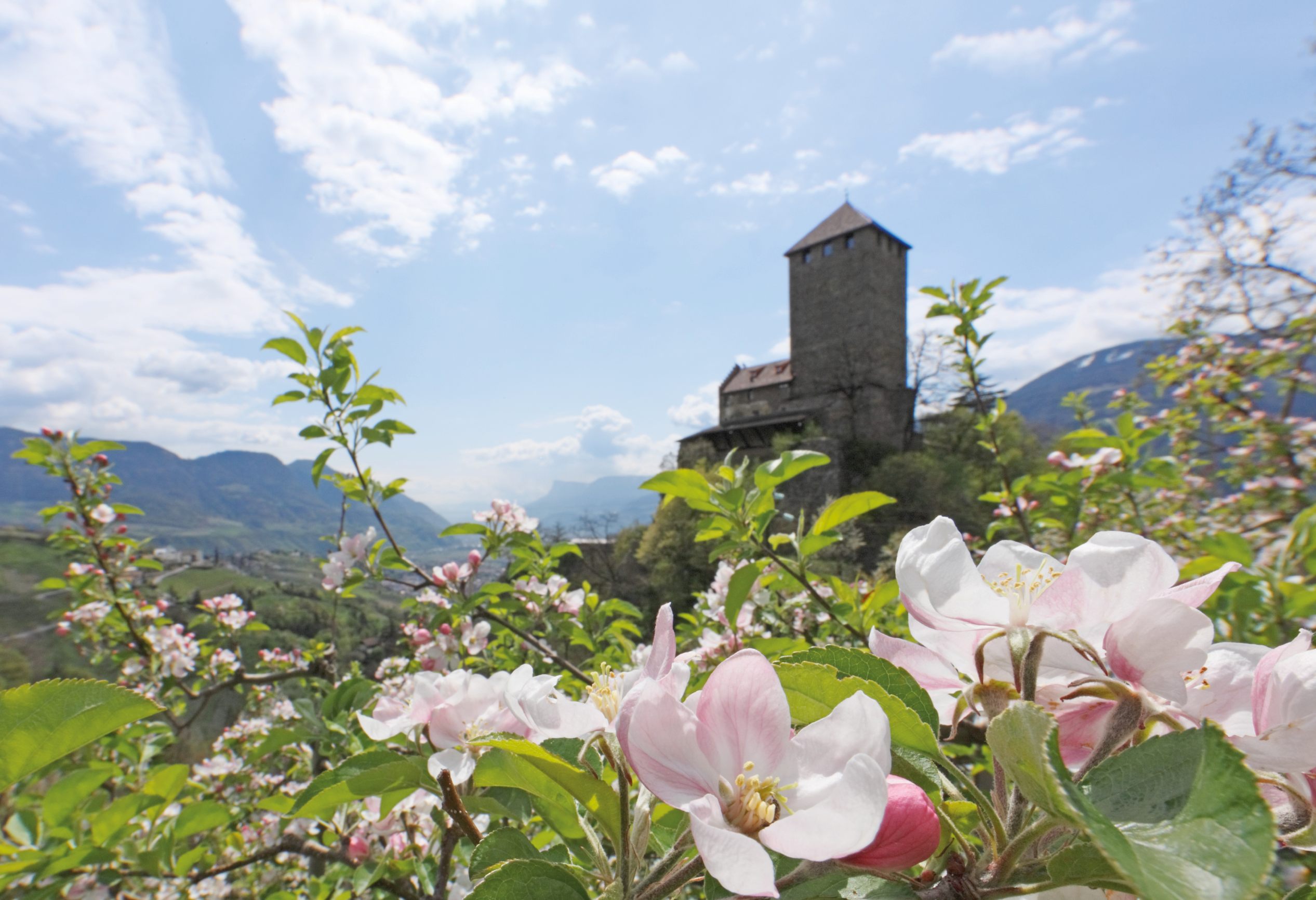 Castello Tirolo